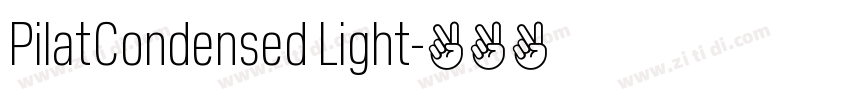 PilatCondensed Light字体转换